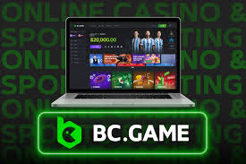 The Rising Popularity of Pakistan BC Game A Complete Overview